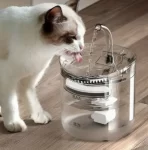 Fonte Inteligente para Gatos: A Melhor Opção para Manter Seu Pet Hidratado