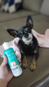 Shampoo Antifúngico Cloresten: A Solução Completa para a Saúde e Higiene dos Pets